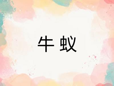 牛蚁