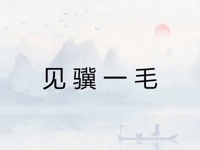 见骥一毛