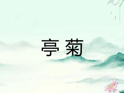 亭菊
