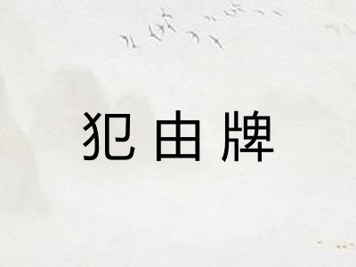 犯由牌