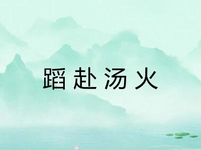 蹈赴汤火
