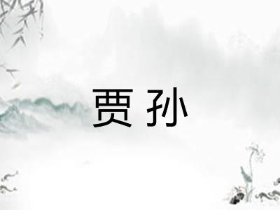 贾孙