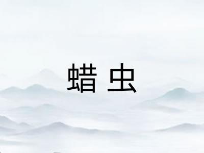 蜡虫