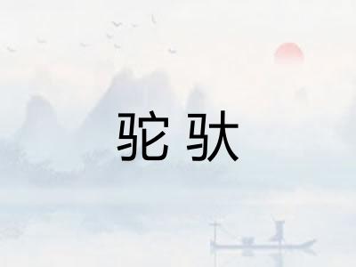 驼驮