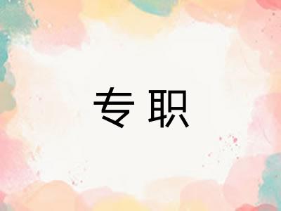 专职