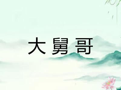 大舅哥