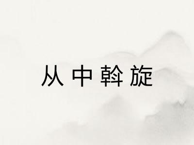 从中斡旋