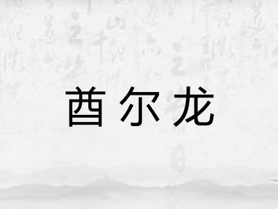 酋尔龙