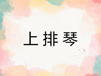 上排琴