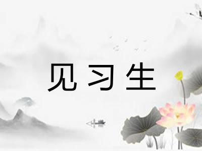 见习生