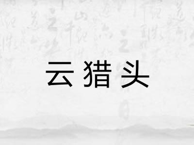 云猎头