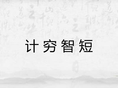 计穷智短