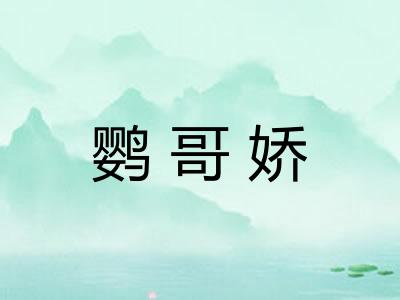 鹦哥娇