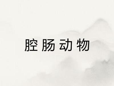 腔肠动物 腔肠动物