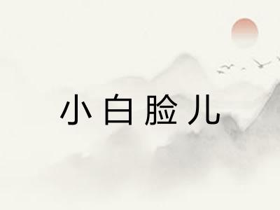 小白脸儿