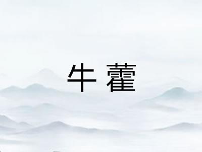 牛藿
