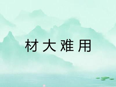 材大难用