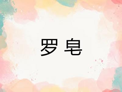 罗皂