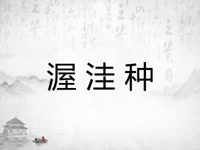 渥洼种