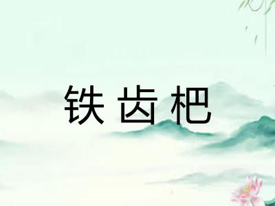铁齿杷