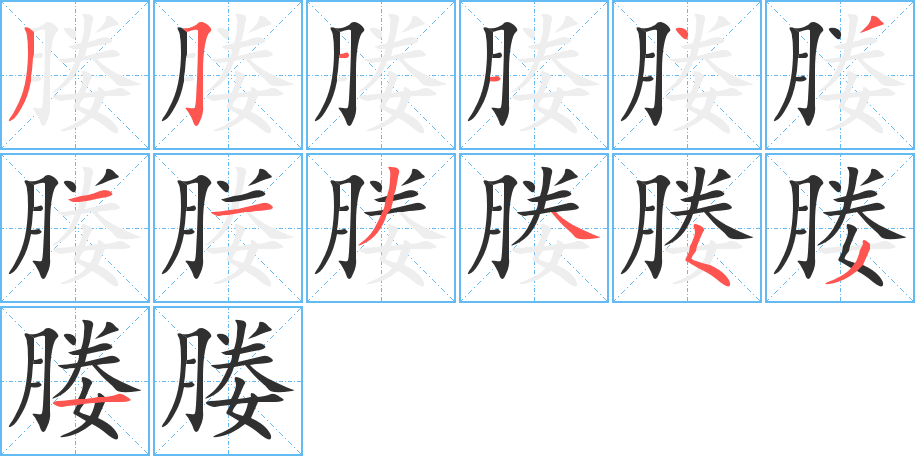 媵的笔顺分步演示图