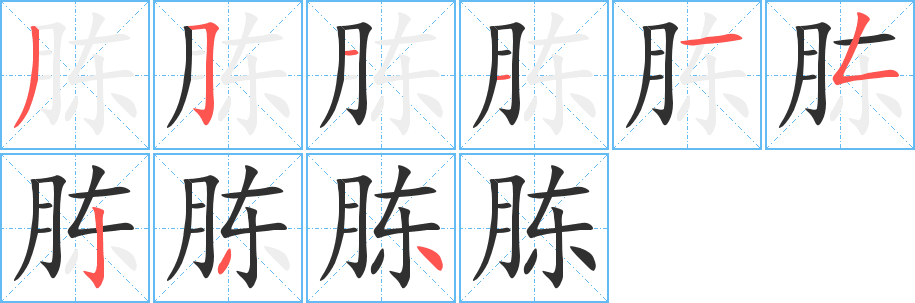 胨的笔顺分步演示图