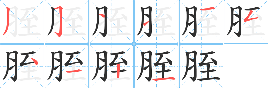 胵的笔顺分步演示图