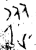 从(甲骨文·商·𠂤组)