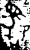 駱(金文·西周·西周中期)