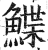 鰈(印刷字体·明·洪武正韵)